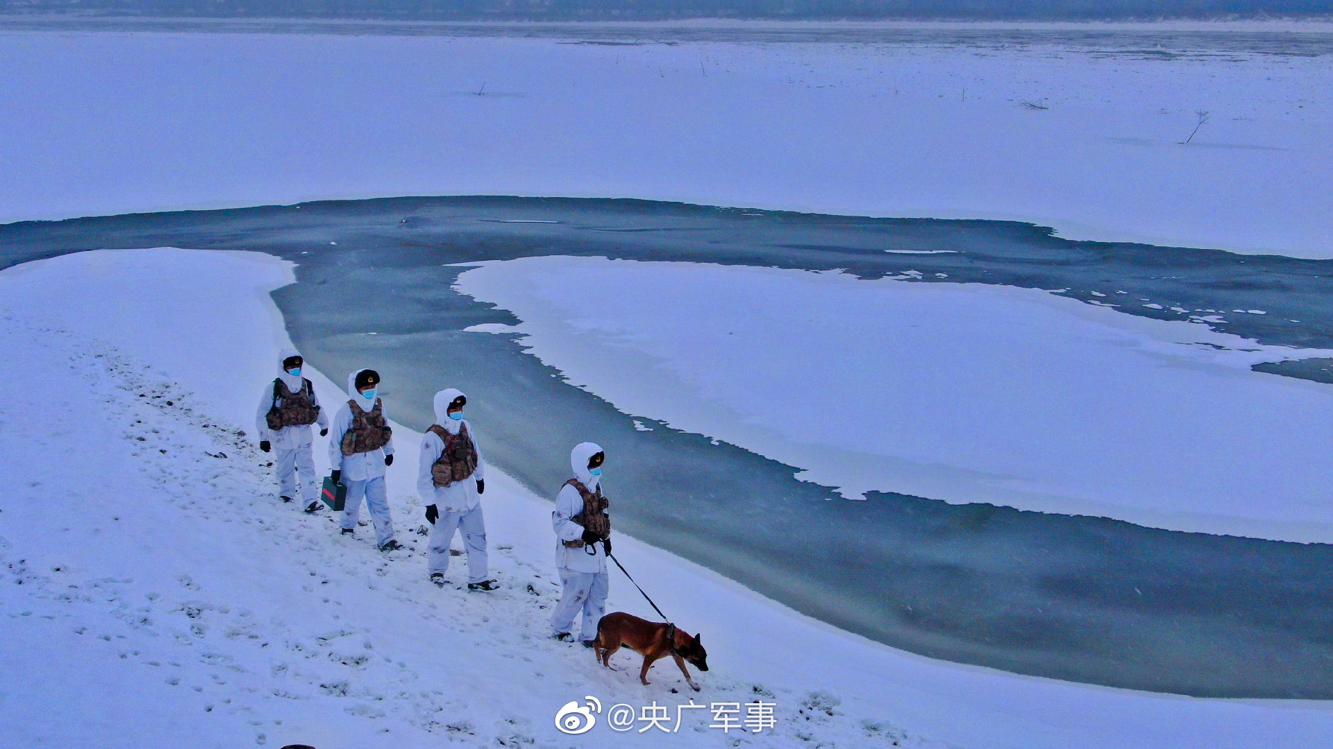 15℃!北极哨所官兵带军犬踏雪巡逻
