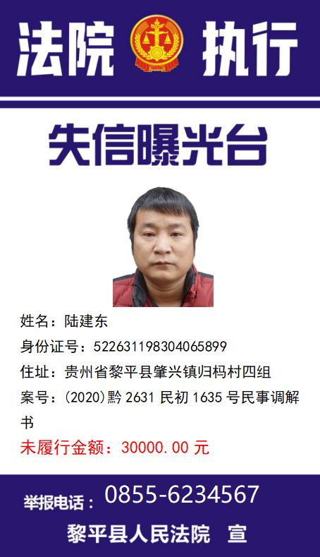 【公示】失信被执行人陆建东