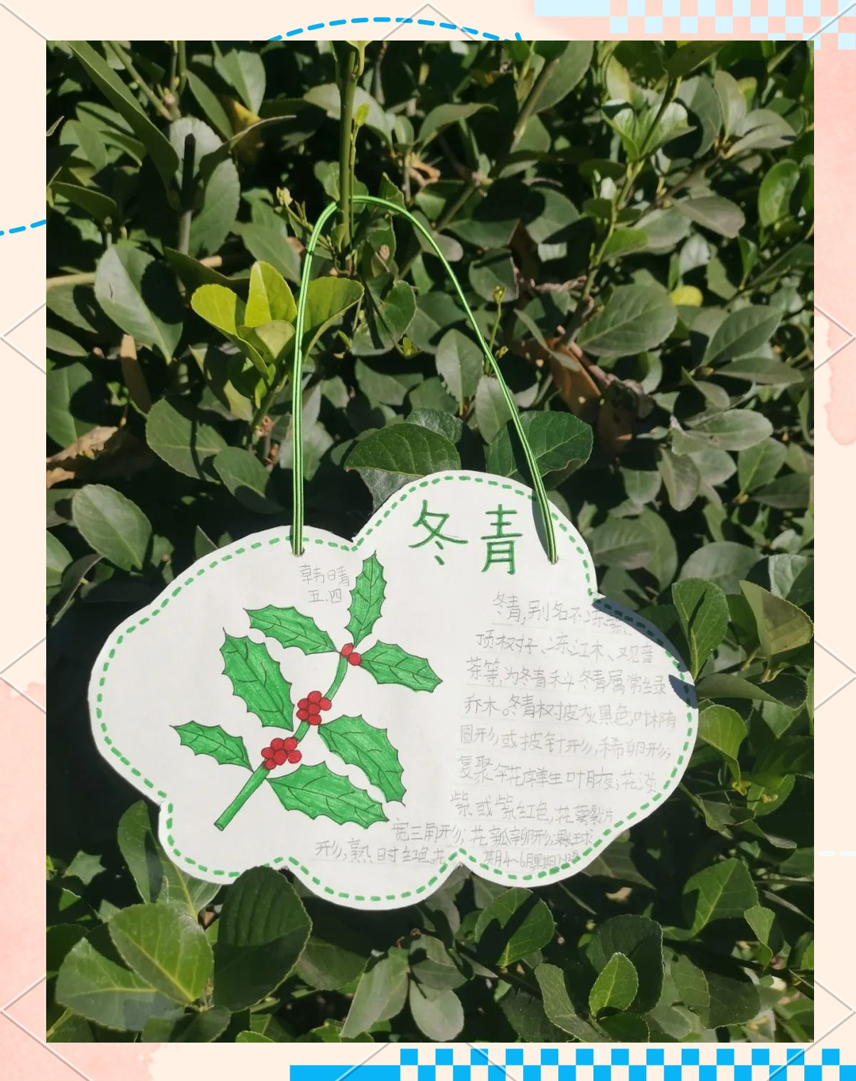 用树牌活动为校园绿植办理"身份证"