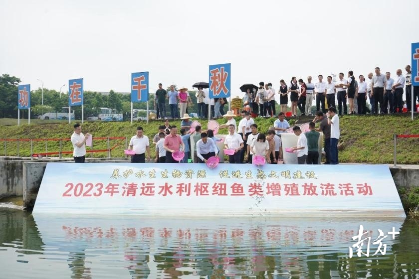 清远开展增殖放流活动,约420万尾鱼苗放归北江