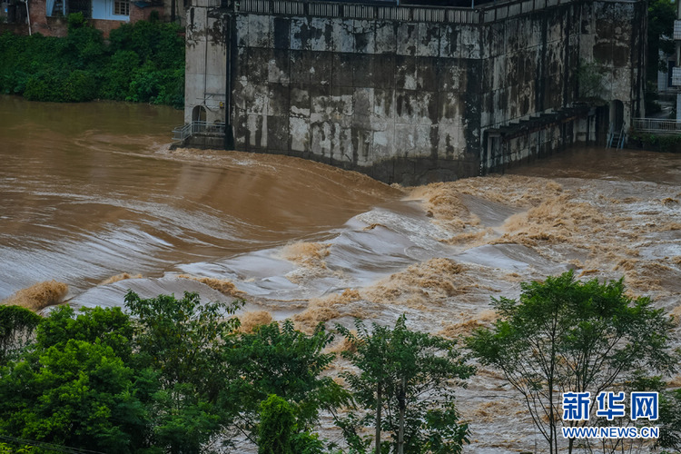 多图直击 重庆首个有编号的中小河流洪水过境綦江城区