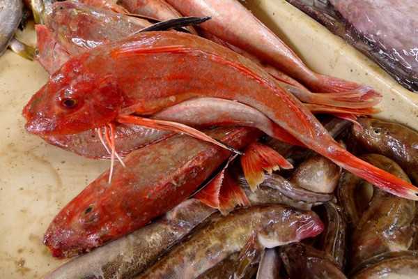 这种鱼全身通红,肉多刺少,价格便宜,目前无法人工养殖!