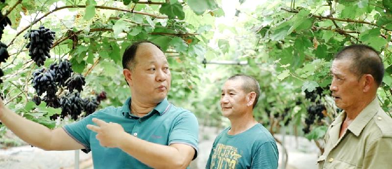 「自贡」盐都乡贤:杨祝贤—共同富裕的探索者,民营企业家的乡村情怀