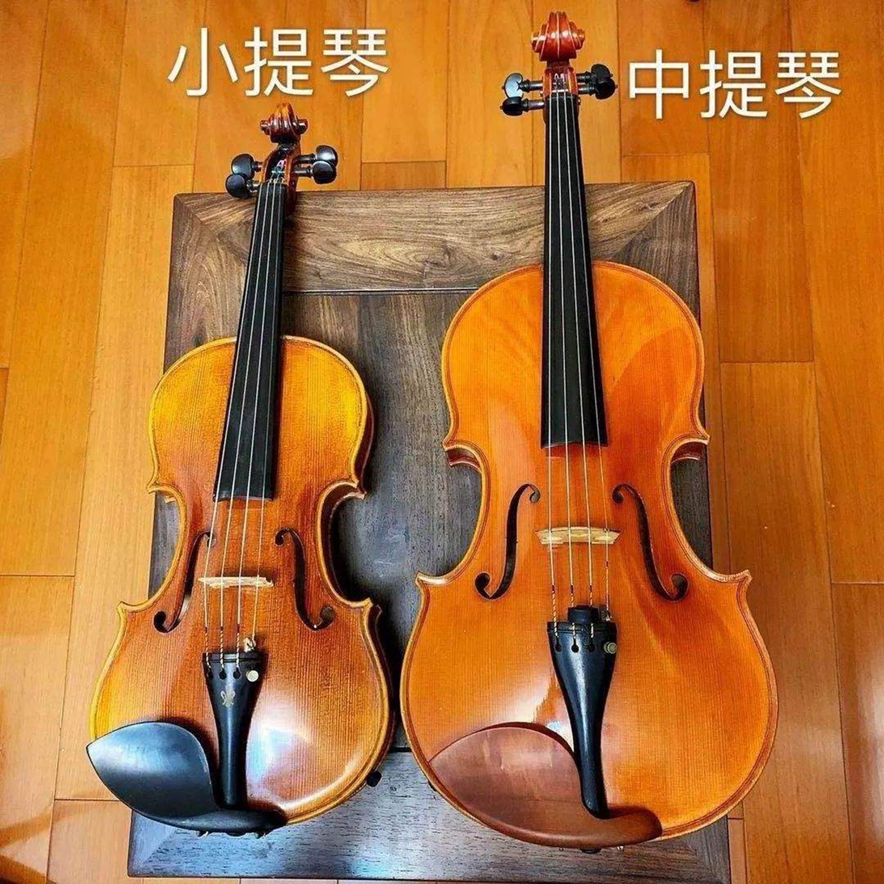 中提琴和小提琴的区别?小提琴可以自学吗?