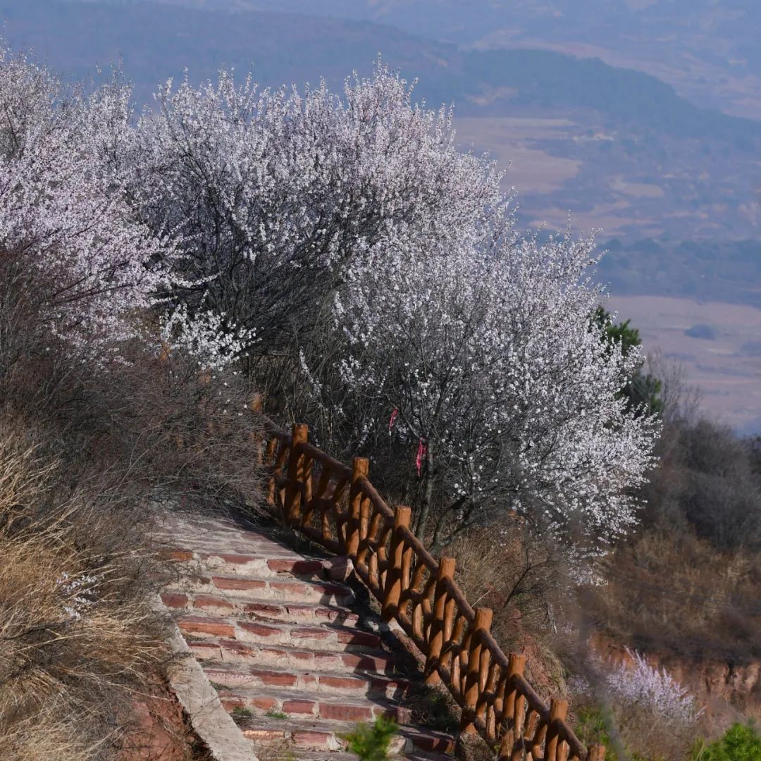 长子县风景图片