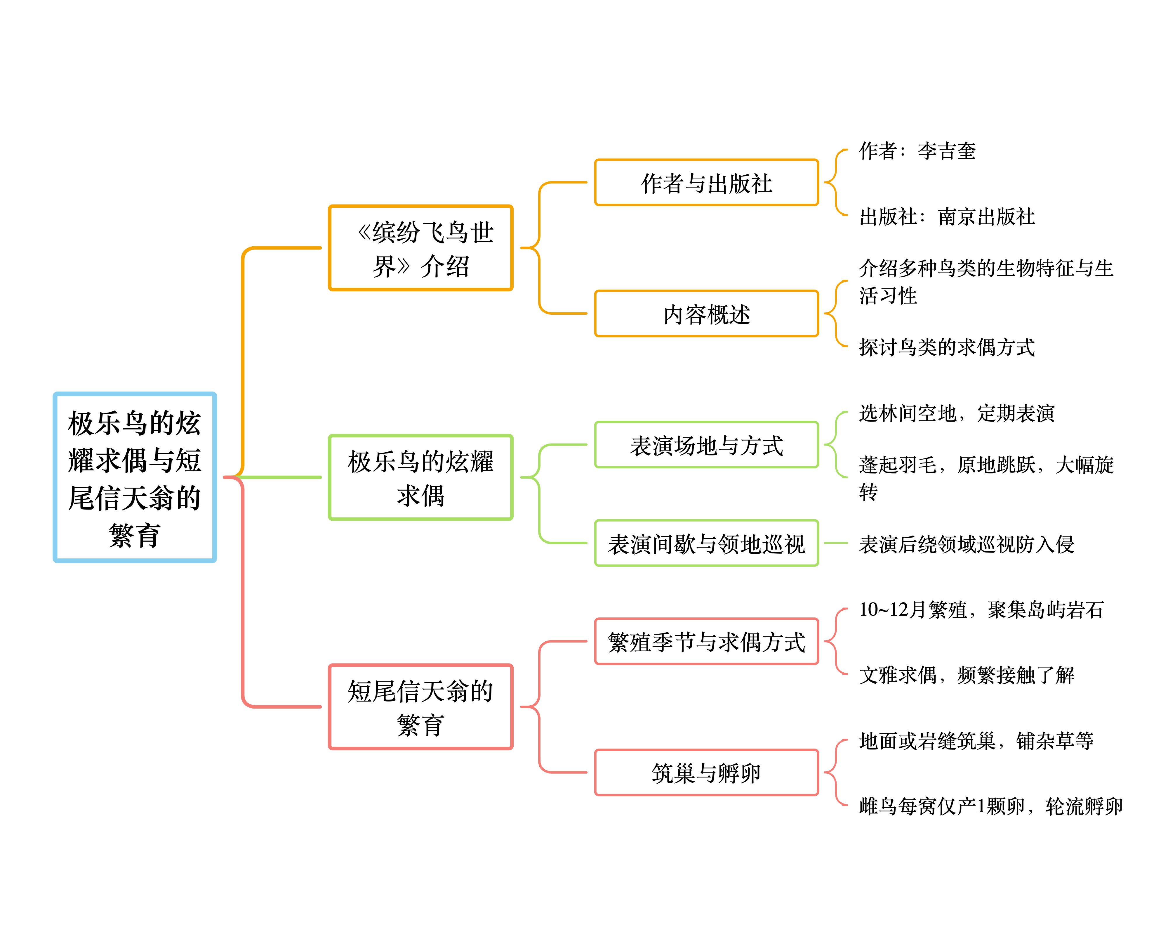 羽色斑斓的极乐鸟