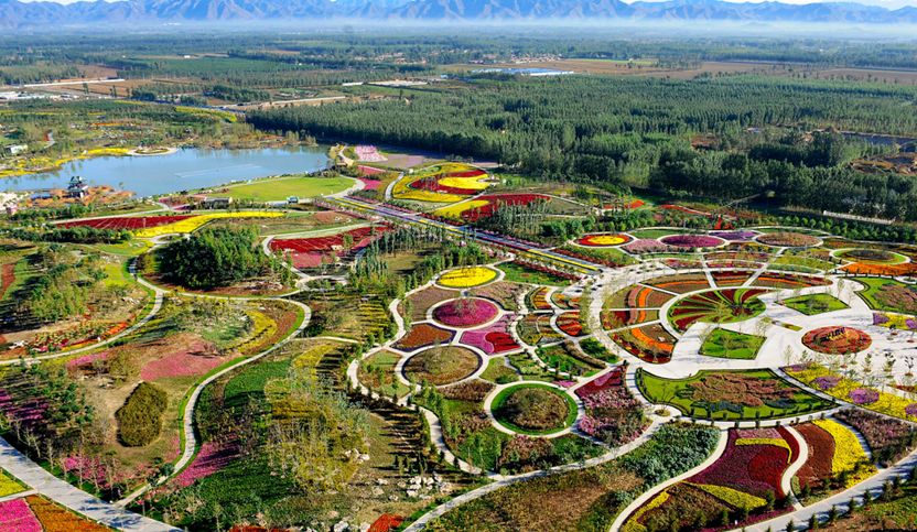 探秘北京国际鲜花港花海之中的美丽秘密