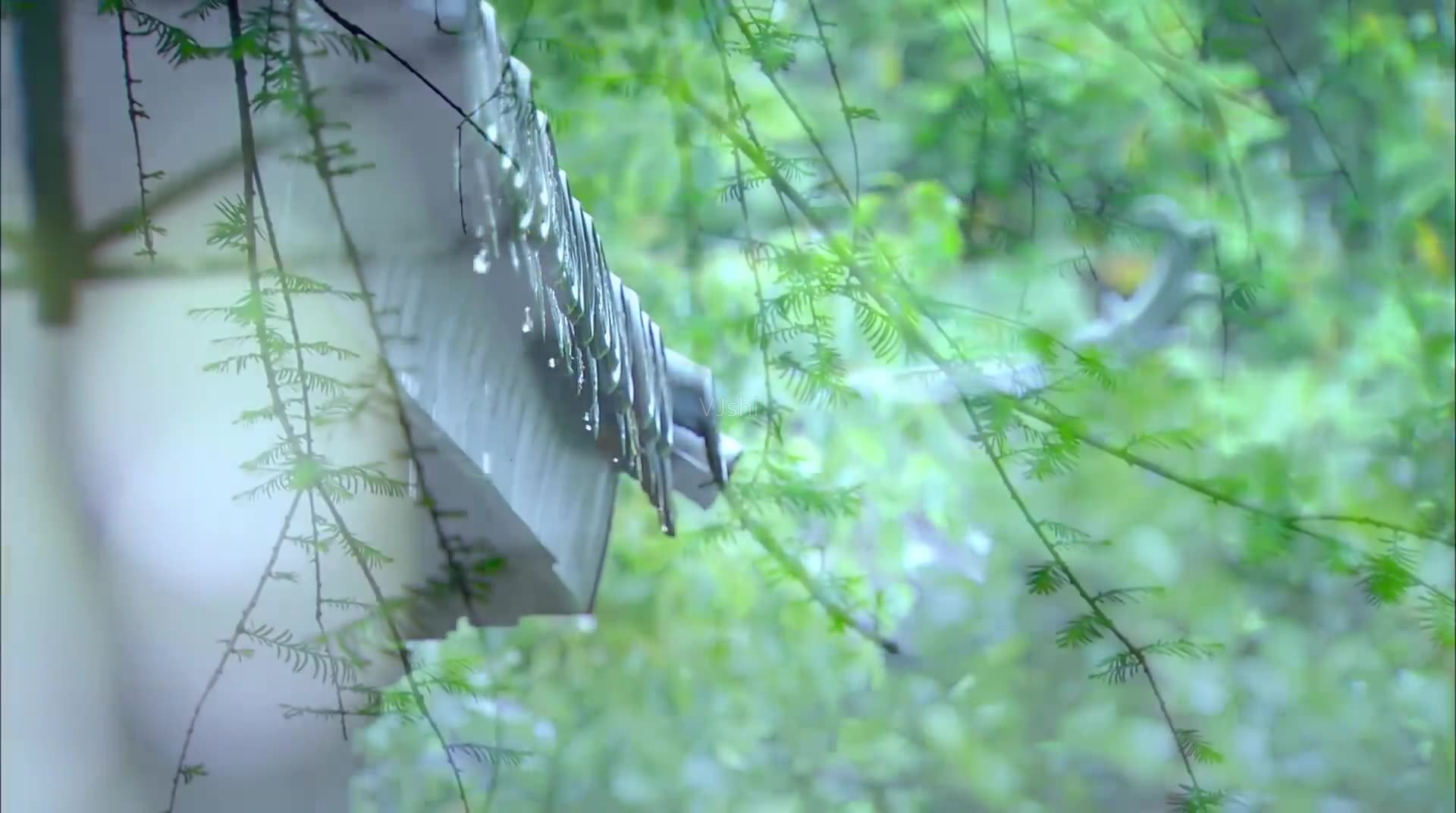 读首诗再睡觉|在肌肤之外,雨的针线密密缝补着不断撕裂的哀愁