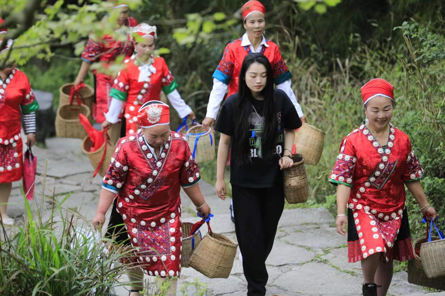 寻茶香炉山|贵州苗族姑娘带你上春山