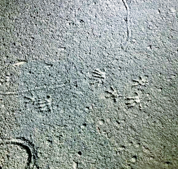 探秘"收脚印"现象:民间传说与真实经历交织的信仰之旅