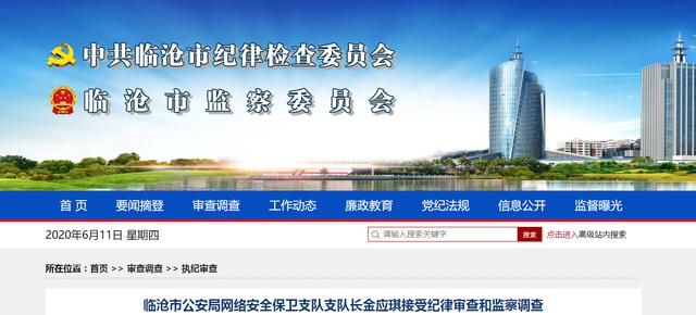 临沧市公安局网络安全保卫支队支队长金应琪被查