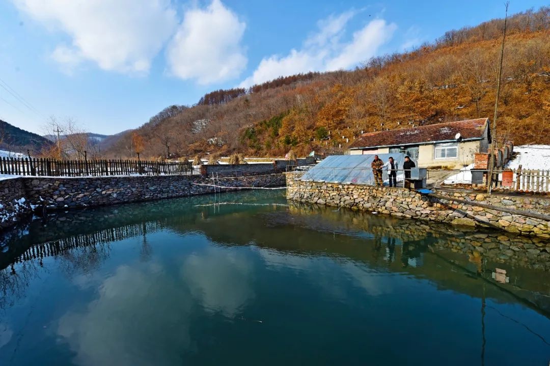 长春莲花山泉眼村占地图片