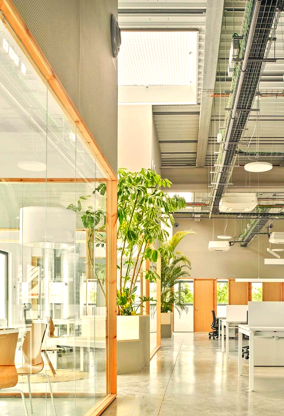 森系办公空间:打造愉悦轻松的办公氛围