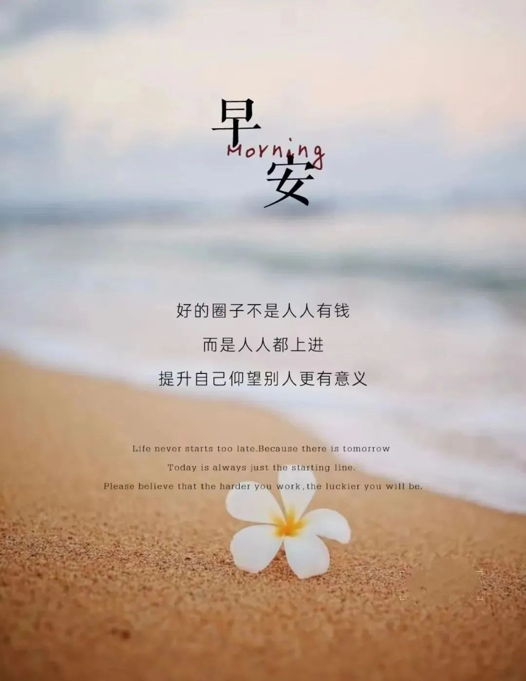 早晨好,传递正能量与励志的唯美语录,精选早安励志图片!