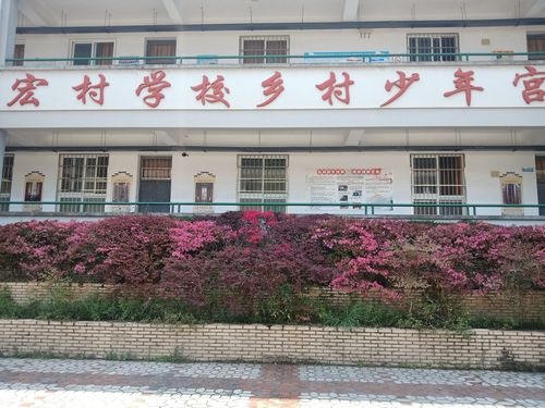 黟县宏村学校:建设绿色校园