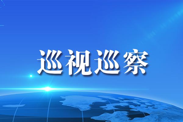 维西"复盘自查 回访督查 确保巡察反馈问题整改到位