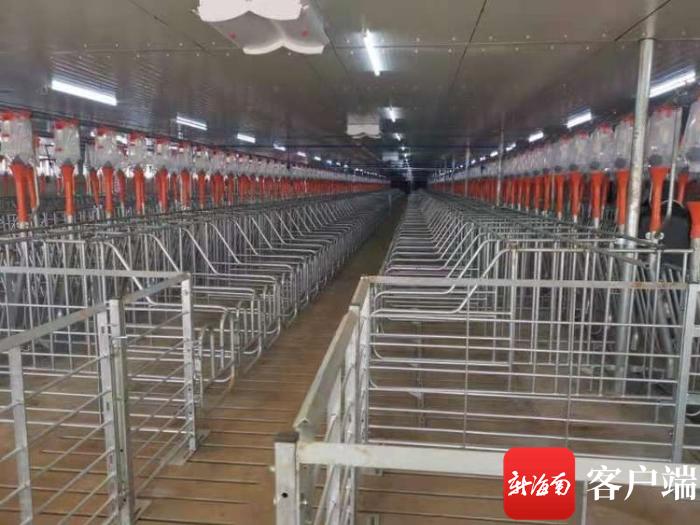 海垦新希望存栏6750头种猪繁育场项目竣工