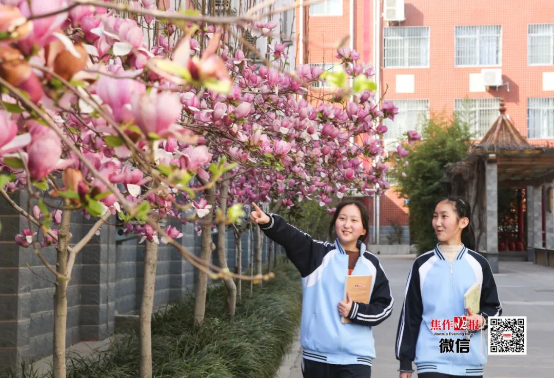 "校花"征集令!市十七中学前来占榜!