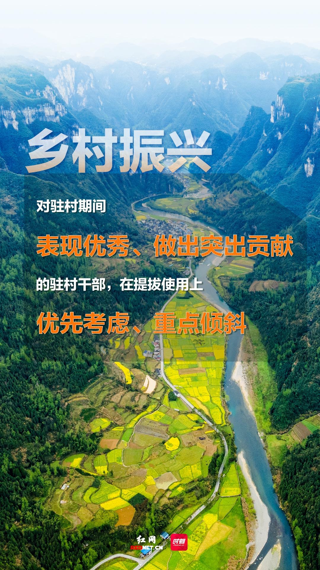 湖南选派2.4万名优秀干部接续奋战乡村振兴