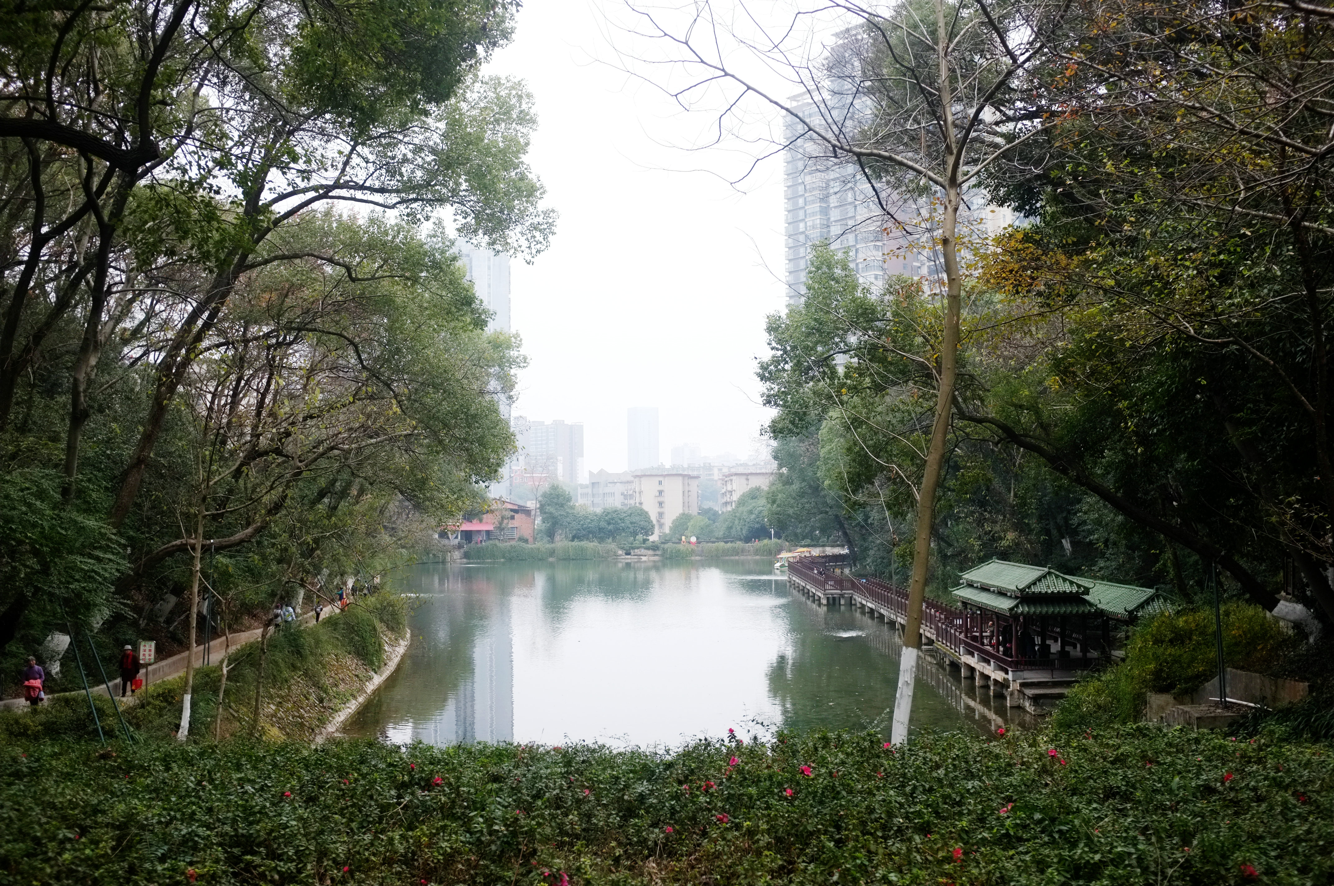 曾经风靡一时的邵阳城南公园旱冰场,与青春有关的记忆