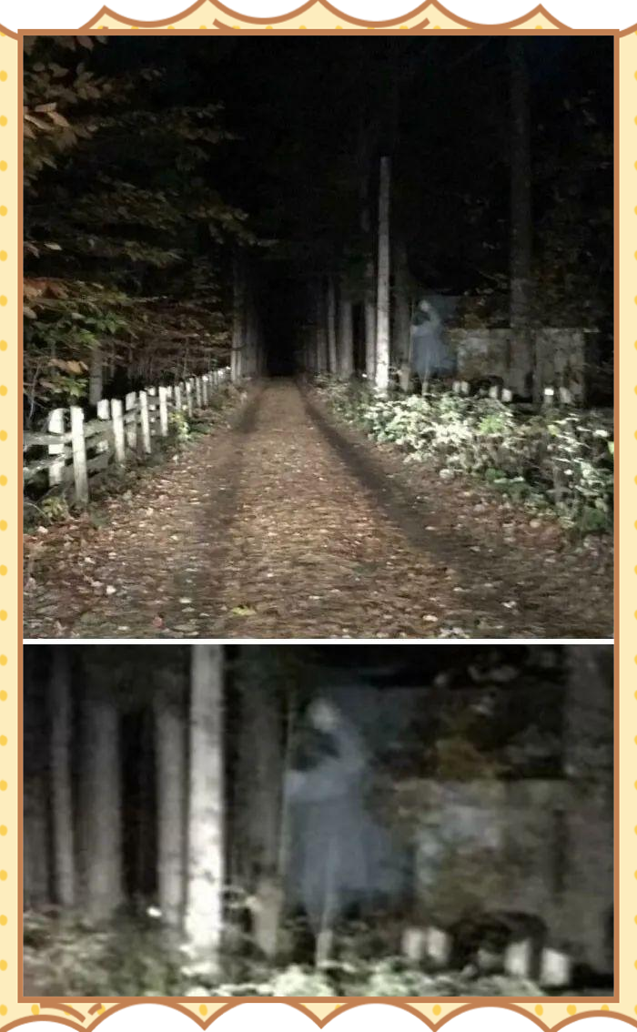 多张令人毛骨悚然的照片,仿佛呈现了真实鬼魂!