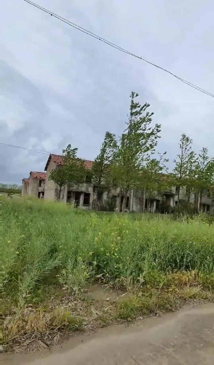盐城大丰海丰农场的荒宅群,是上海知青们曾经生活的地方,80年代前非常