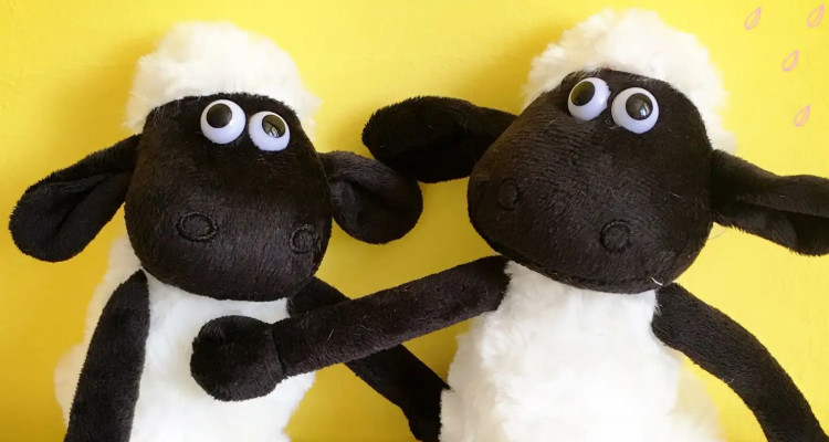 肖恩羊是什么品种