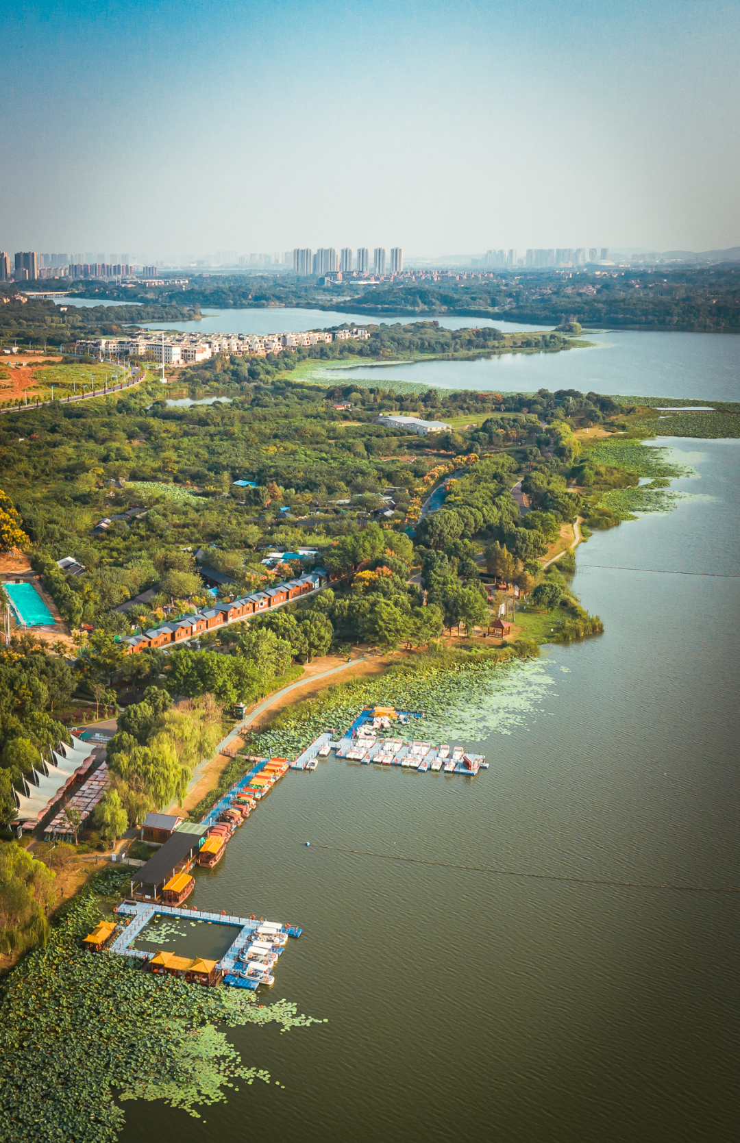 锚定未来五年奋斗目标 美丽田园徐徐展开蔡甸奋力谱写宜居宜业新篇章