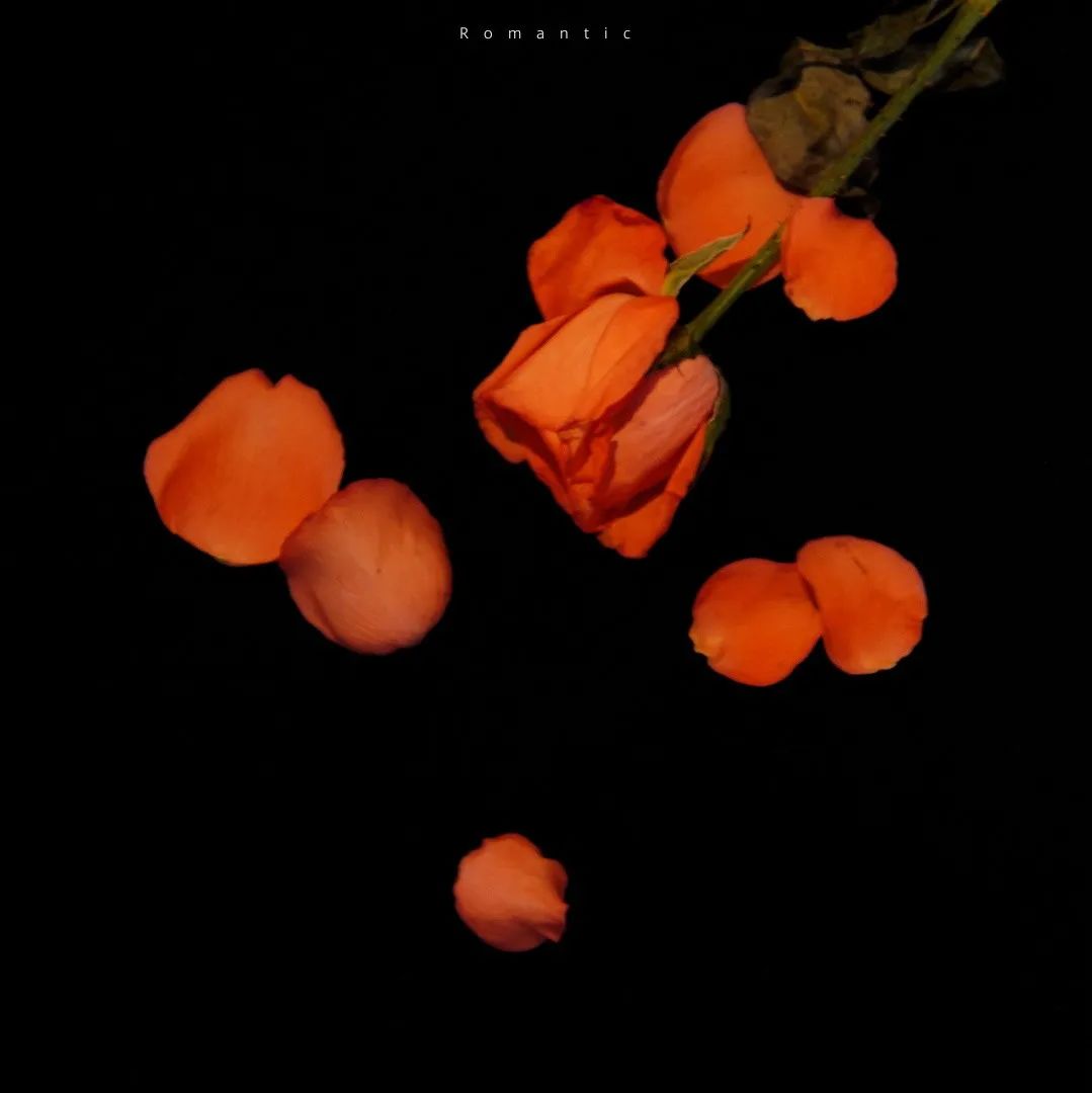 背景图|个性高级感朋友圈背景图