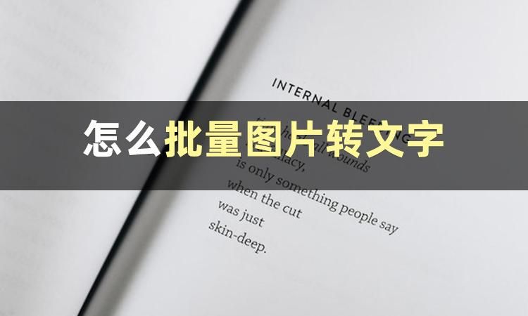 怎么批量图片转文字?快来看看这些方法