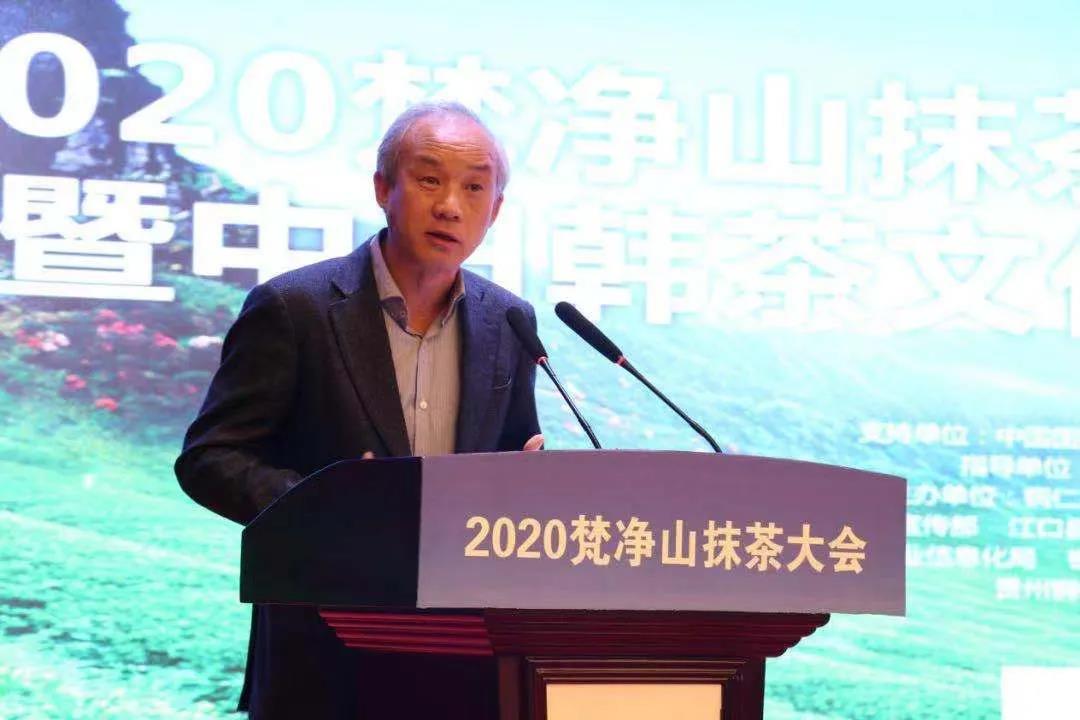 胡继承:抹茶是贵州茶产业高质量发展的突破口