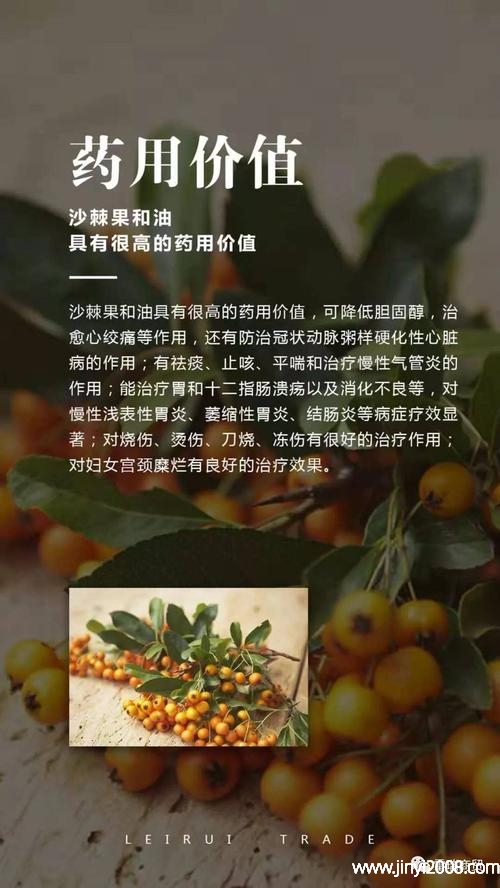 沙棘如何食用图片