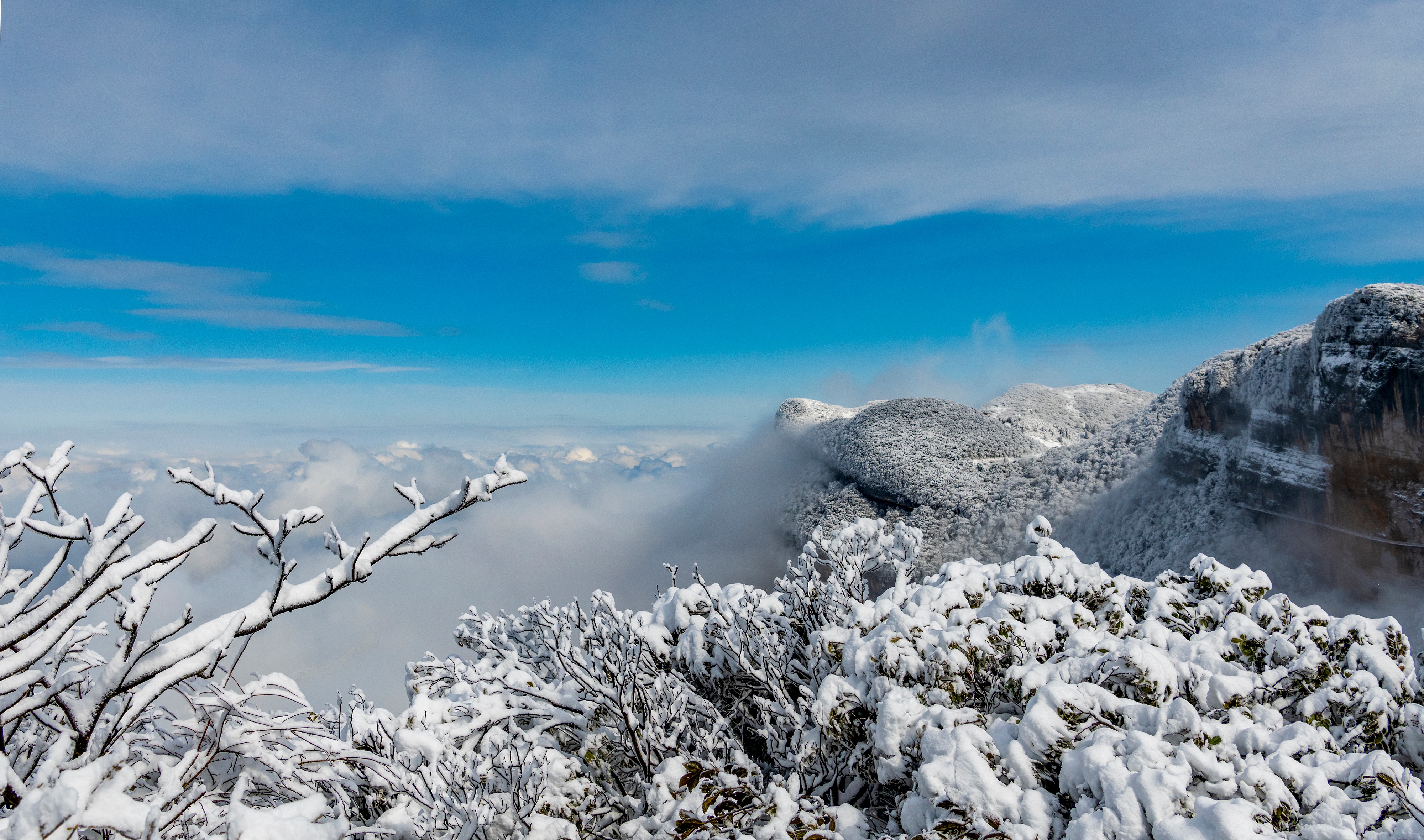 春节来金佛山 定格冬日美景