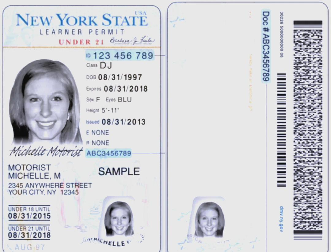 美国驾照考取全解析:步骤,文件与国际认可度