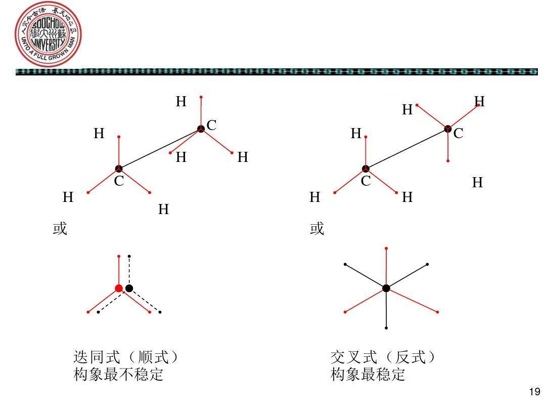 高尔基体顺面和反面图片