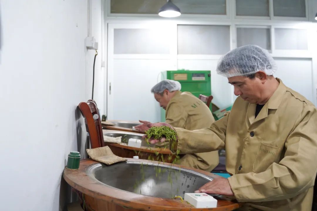 作为一名"90后"新茶人,唐亚飞从小在茶山长大,留学归国后于2015年创立