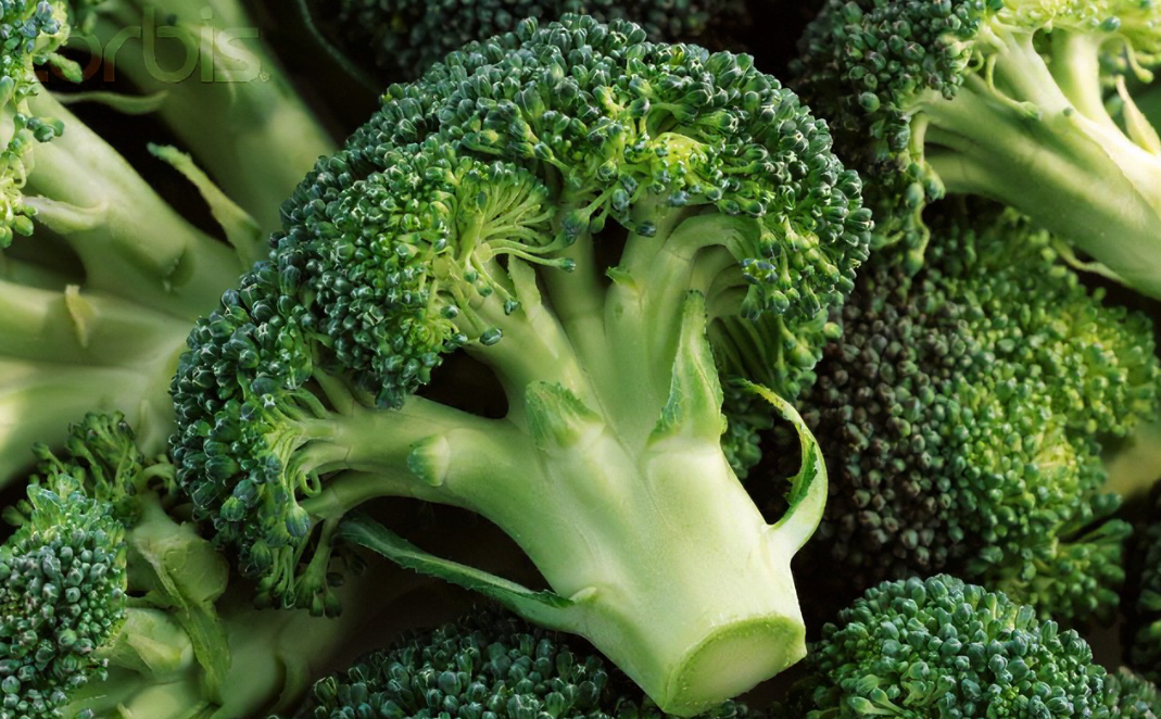 异硫氰酸盐——十字花科蔬菜中有益健康的物质