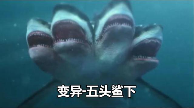 变异-五头鲨下