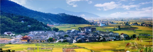 平阳县海西镇:乡风文明让村民走上"致富路"