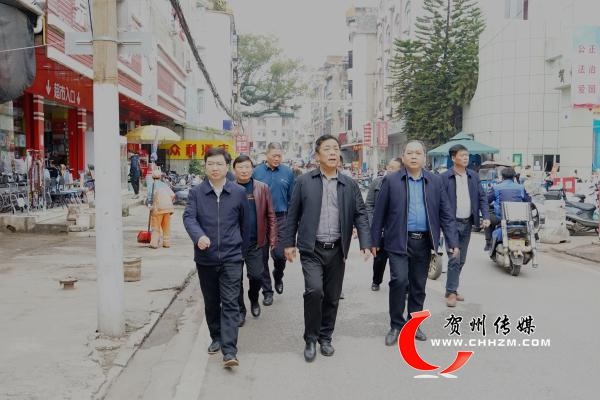 贺州市人大常委会主任,党组书记陆海平率调研组开展城区违法建设及