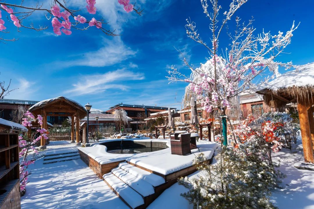 白桦林温泉谷开业!温泉滑雪一站式度假打卡地来了