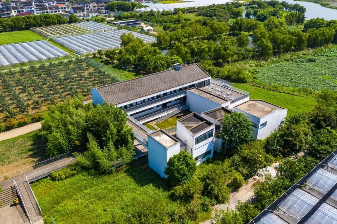 吴江同里,江村乡村之旅