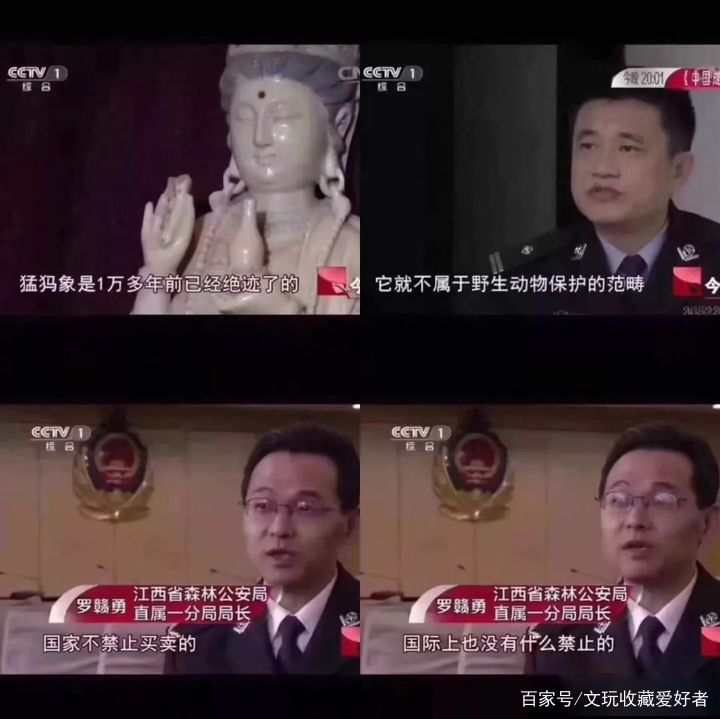 如何选好真假披毛犀角？披毛犀角多少一克？-第2张图片-趣盘玩