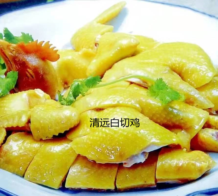 广式白切鸡哪里的好吃?广州?珠海?湛江?清远?化州?