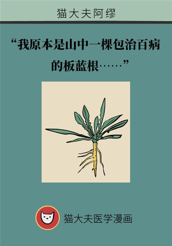 "我是一棵包治百病的板蓝根……"编剧你确定不是想害人?