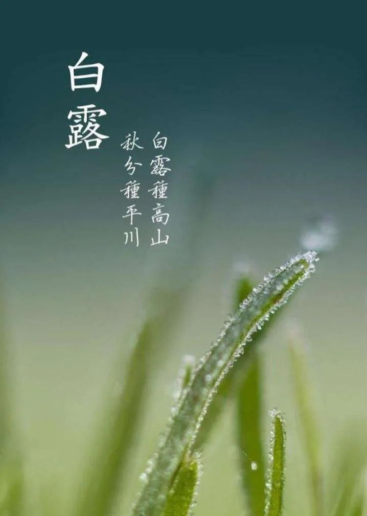 白露节气祝福语,适合白露发朋友圈的句子!