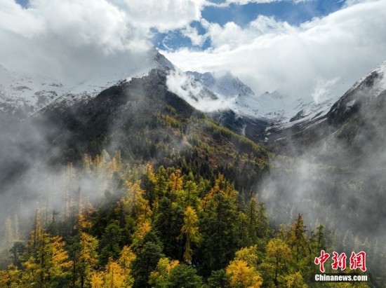 林芝的秋天图片