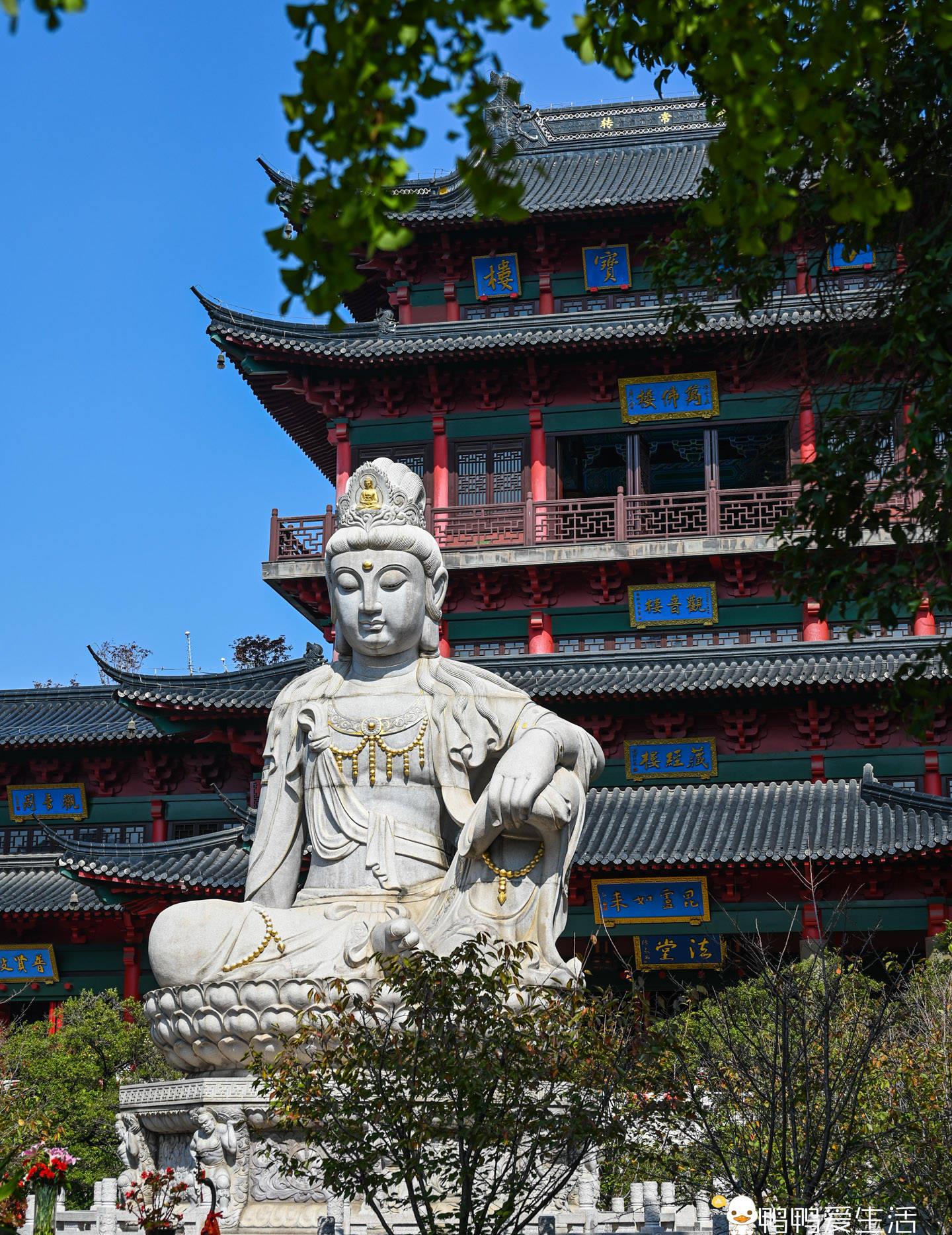 毗卢寺:昔日南京第一大寺,院内有8.8米观音大佛,秋天美成了画