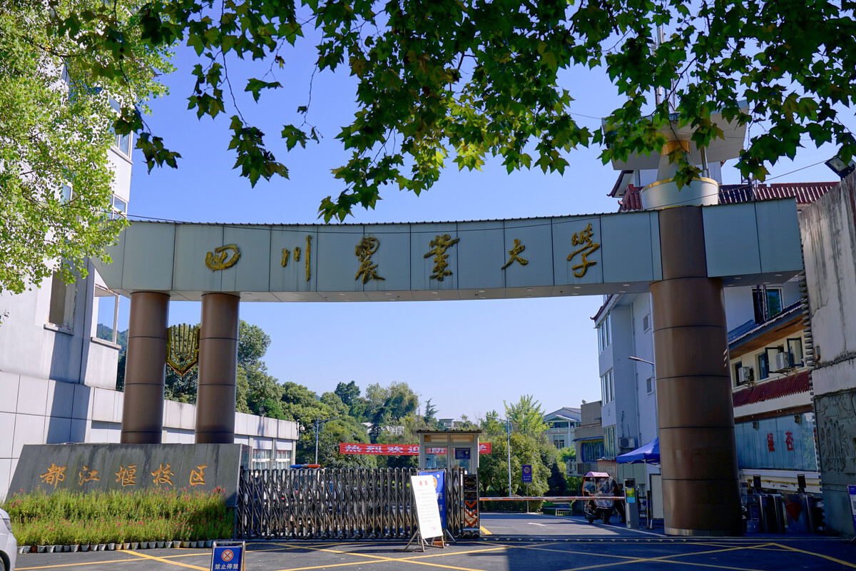 四川农业大学是985还是211院校?