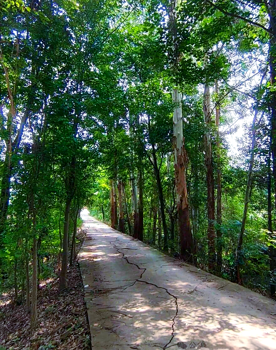 成都近郊的四大徒步路线:探索自然美景与乡村风情